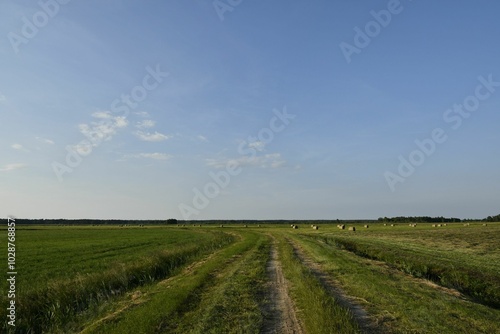 Rural landscape with dirt road and hay bales