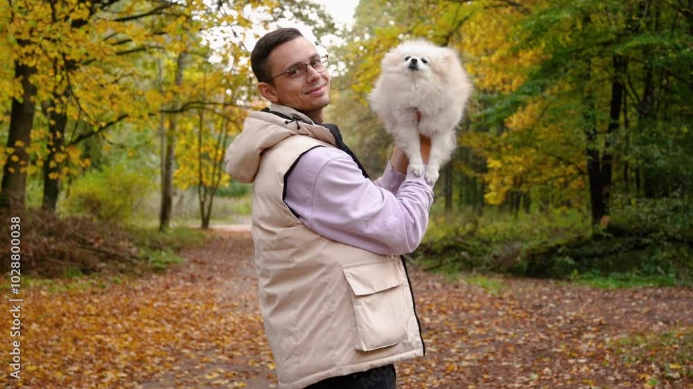 little cute fluffy puppy on a walk with his young man owner in the park. Dog breed Pomeranian Spitz. Yellow autumn leaves in the forest