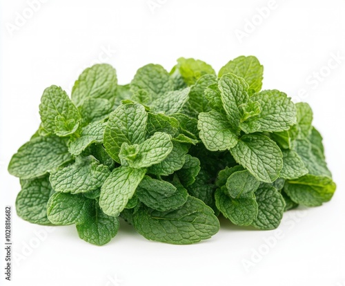 Fresh mint leaves arranged beautifully on a light background showcasing vibra...