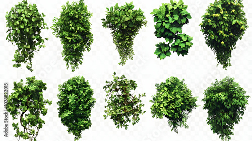 Wallpaper Mural Collection of various green foliage and plant clusters. Torontodigital.ca