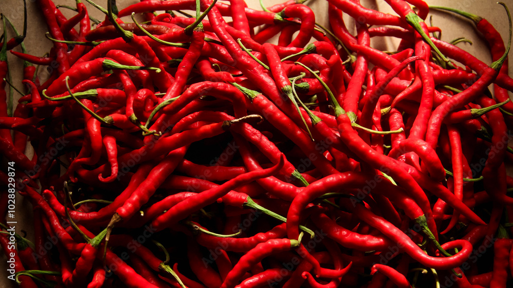 Fototapeta premium Red chili or Capsicum annum L. the shape and pattern of fresh red chilies that fill the screen, red chilies are a plant that is widely cultivated because of its high price