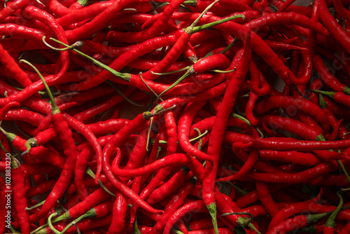 Red chili or Capsicum annum L. the shape and pattern of fresh red chilies that fill the screen, red chilies are a plant that is widely cultivated because of its high price photo