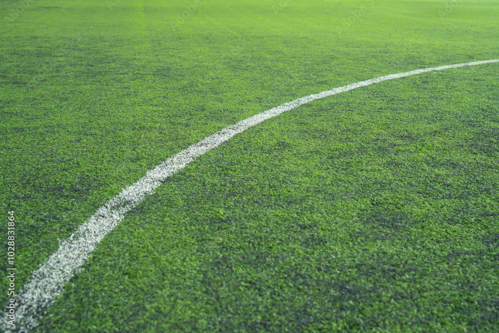 Fototapeta premium A white line is drawn on a green field