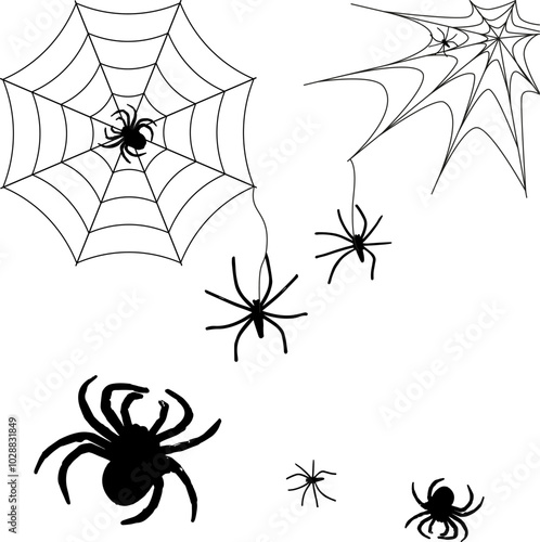 spiders and webs, spiders weave webs, halloween