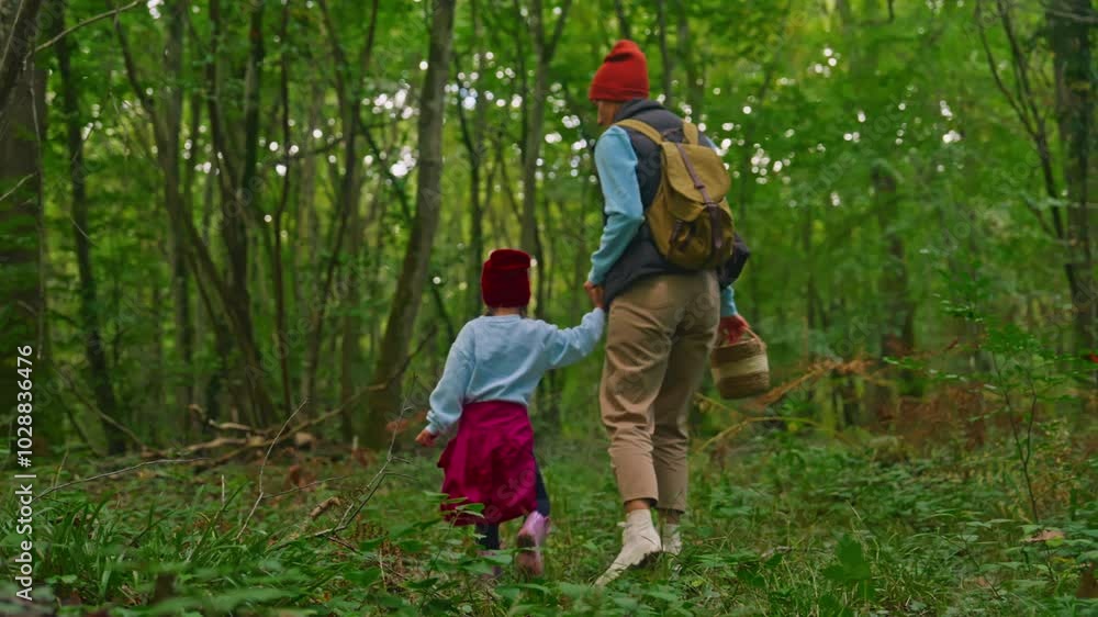 Mom and little daughter gather mushrooms in the forest on a sunny day. Mother and daughter walking in the woods. Spending time outdoors Mom and little daughter gather mushrooms in the forest on a sunny day. Mother and daughter walking in the woods. Spending time outdoors