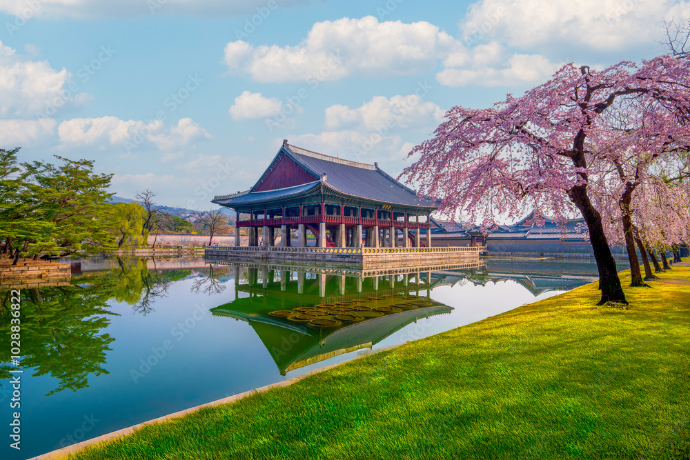 gyeongbokgung-palace-with-cherry-blossoms-in-spring-during-the-changing