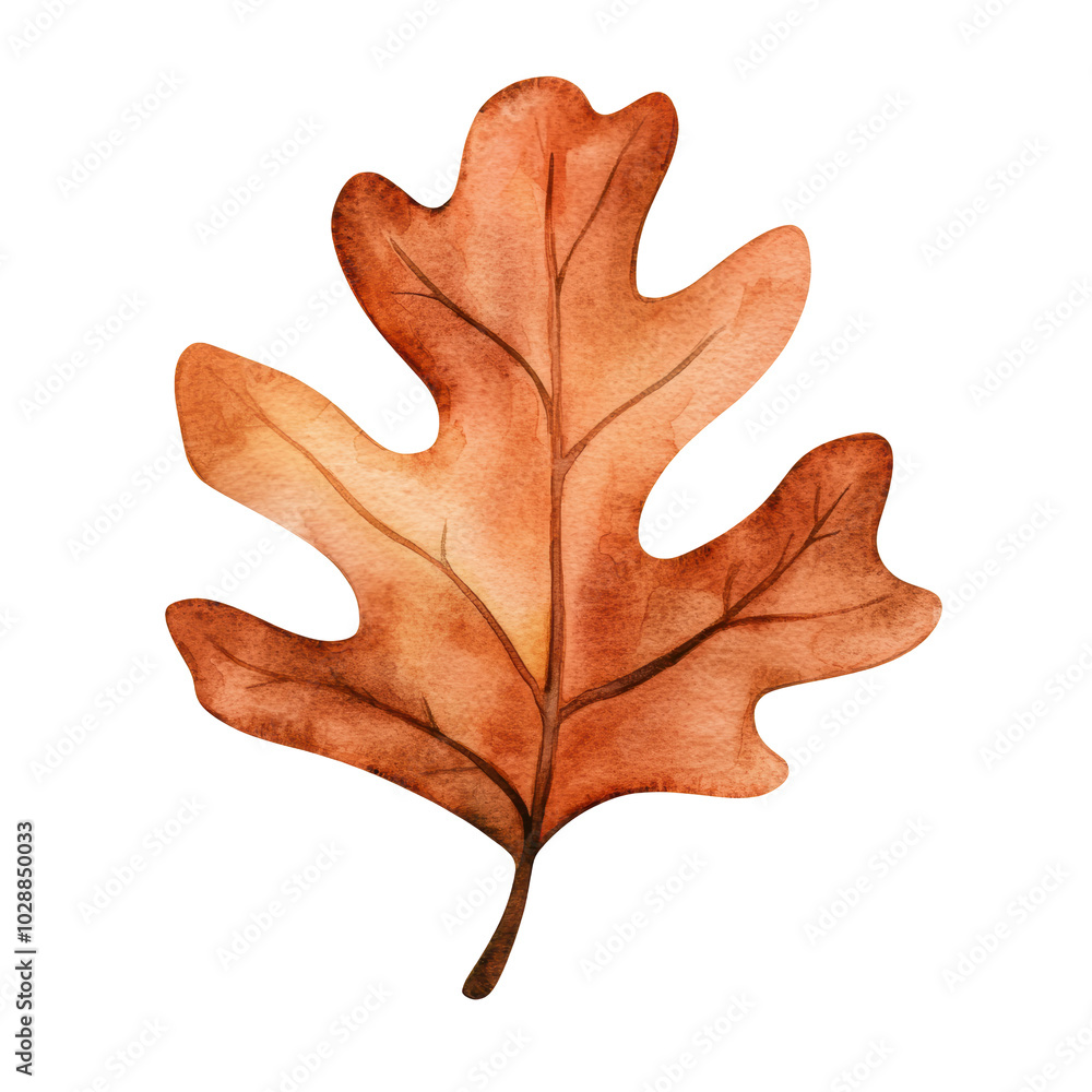 Fototapeta premium Autumn Oak Leaf: A Vibrant Symbol of Nature's Transition