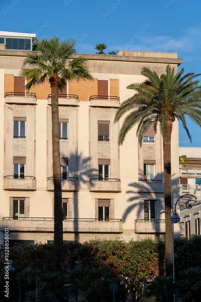 Vertical view of palm trees and their shadow on a building in Bari, Italy Vertical view of palm trees and their shadow on a building in Bari, Italy