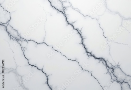 White Marble Texture with Grey Veins