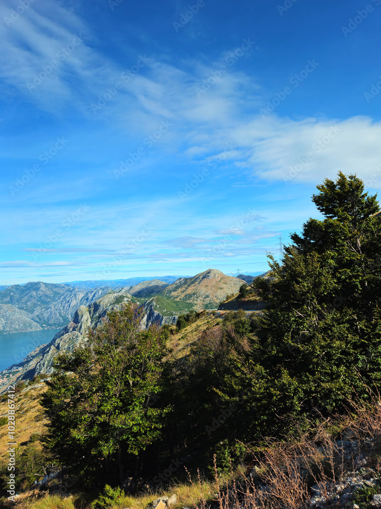 Mountain Landscape with Lush Green Trees Overlooking Bay of Kotor in Montenegro on a Clear Day with Blue Sky and White Clouds, Offering a Scenic View of Rocky Hills and Serene Natural Beauty Mountain Landscape with Lush Green Trees Overlooking Bay of Kotor in Montenegro on a Clear Day with Blue Sky and White Clouds, Offering a Scenic View of Rocky Hills and Serene Natural Beauty