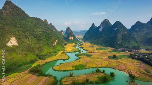Hyperlapse aerial drone view of rice terrace paddle field around the river at Phong Nam, Trung Khanh, Cao Bang, Vietnam
