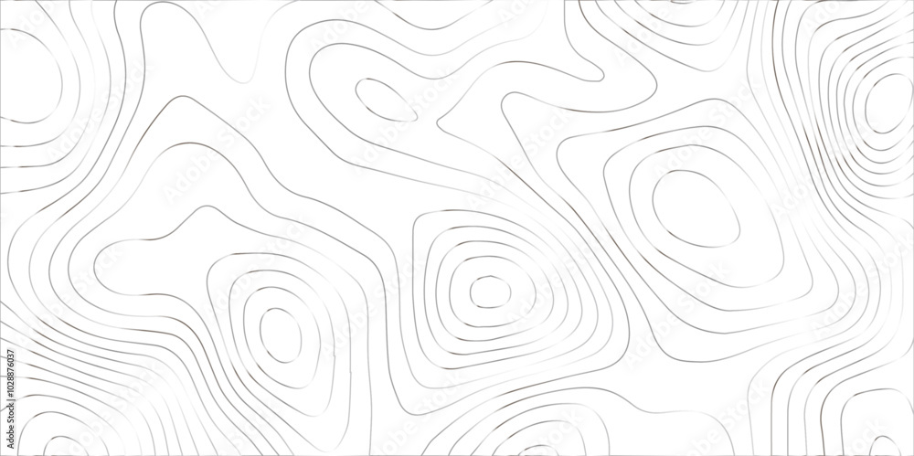 Fototapeta premium Abstract topography background. Topographic contour map subtle. Wavy paper curved reliefs White background. Geographic mountain relief curve lines background. Vector illustration.