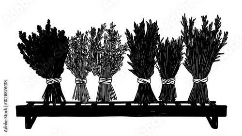 Bundles of dried herbs tied with twine on a rack, vector illustration art