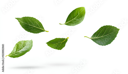 Five green leaves falling through the air, isolated against a white background.