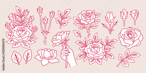 Rose blossom, leaves and buds. Beautiful flower on transparent background. Vector modern illustration set