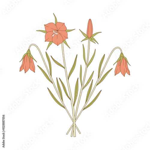 Bouquet of four bright flowers and leaves. Bunch of blooming perennial wildflowers. Botanical hand-drawn elements for design projects. Vector illustration