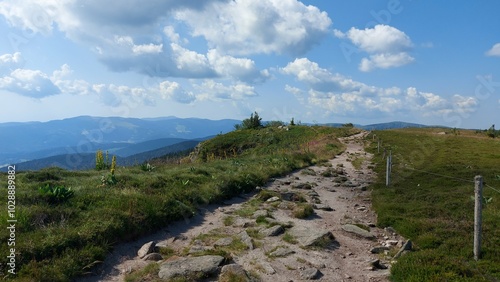 The walking path (hiking) on the mountain isn Vosges, France.  photo