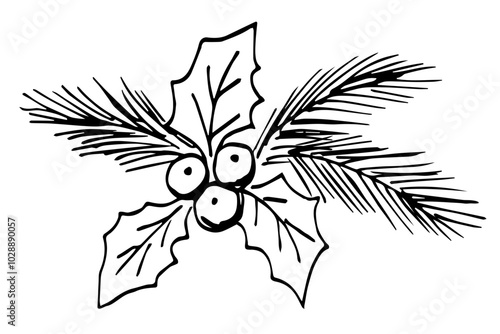 Holly berry, leaves, coniferous branches, pine. Christmas New Year decor, plants. Simple hand drawn vector ink sketch.