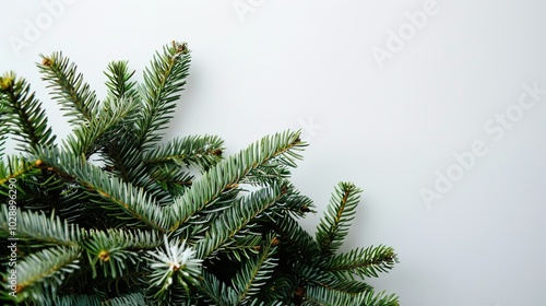 Obraz na płótnie christmas background with christmas branches and decorations w salonie