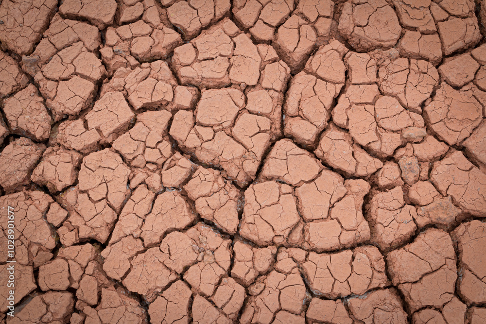 The red soil is cracked and cracked from drought and pollution. The red soil is cracked and cracked from drought and pollution.