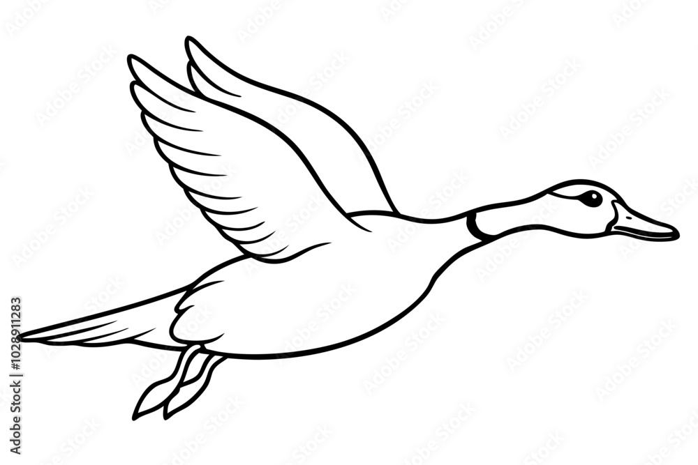 Obraz premium illustration of a duck fly