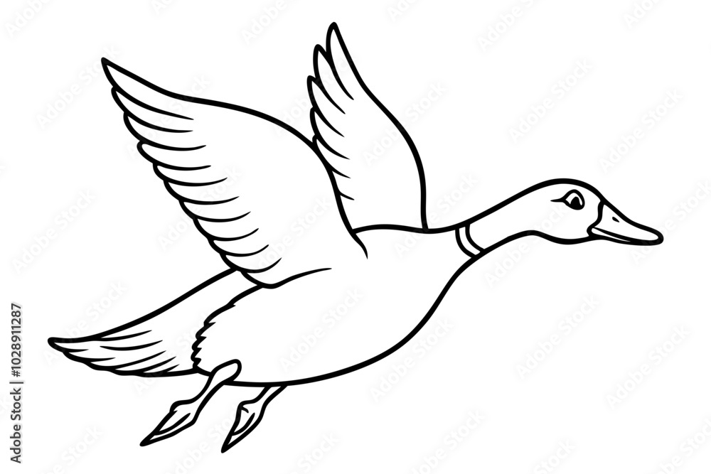 illustration of a duck fly illustration of a duck fly