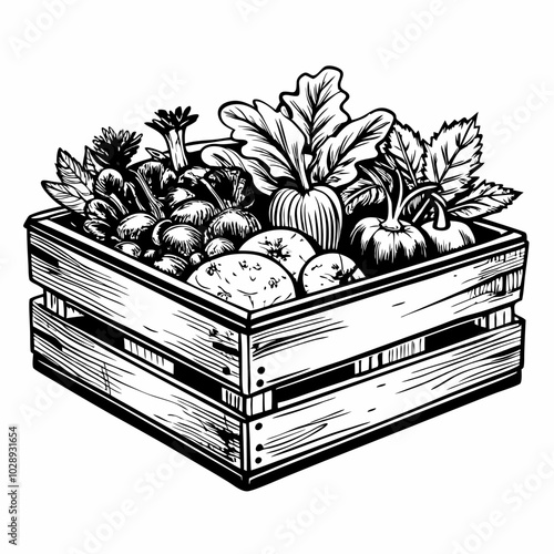 Hand Drawn Harvest Rustic Crate Filled with Fresh Vegetables