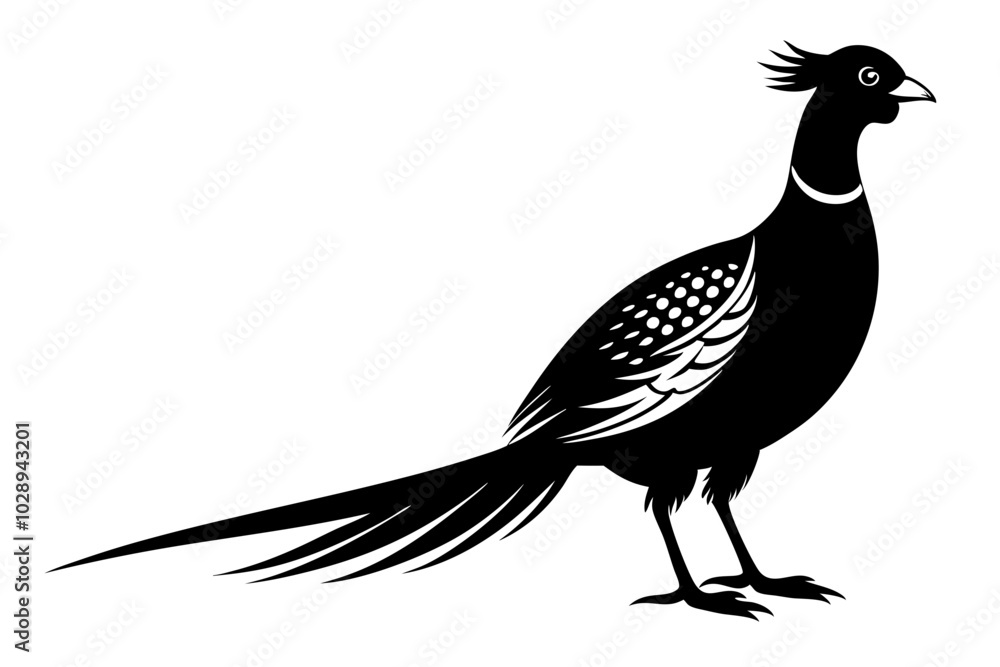 pheasant vector silhouette vector illustration pheasant vector silhouette vector illustration