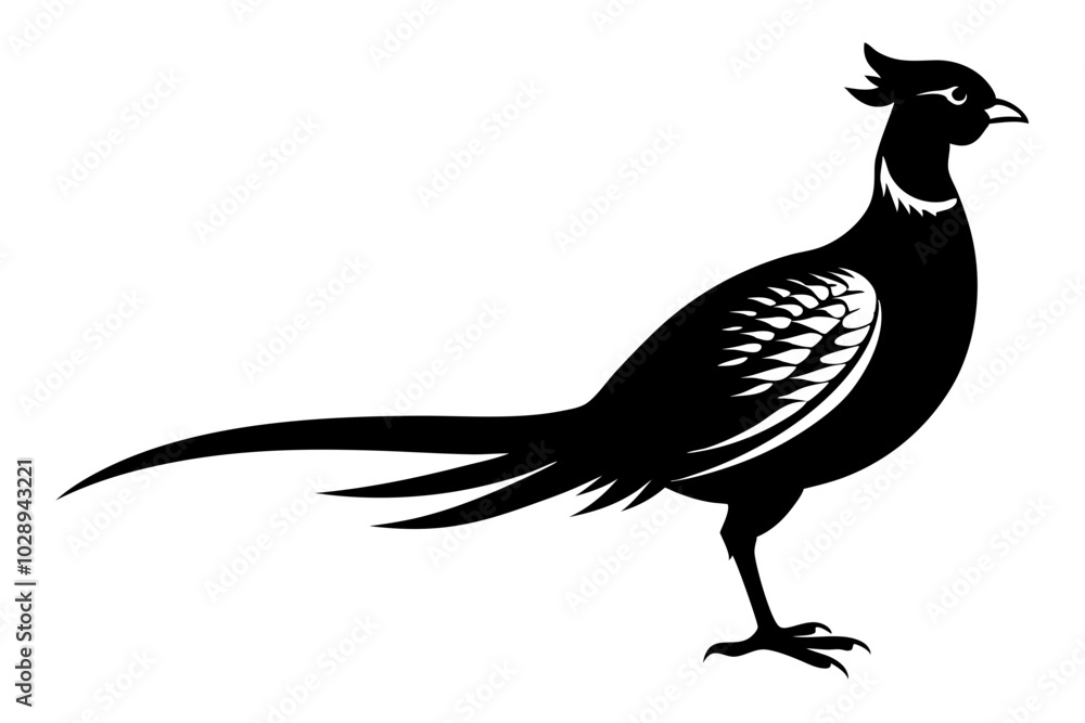 Fototapeta premium pheasant vector silhouette vector illustration