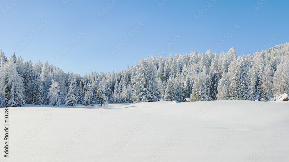 The new deep snow on the wall in the mountains, a walk in the sun and snow. Big panorama wit copy space. The new deep snow on the wall in the mountains, a walk in the sun and snow. Big panorama wit copy space.