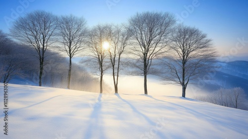 A mystical winter forest, shrouded in fog with snow-covered trees casting eerie shadows in the soft moonlight.