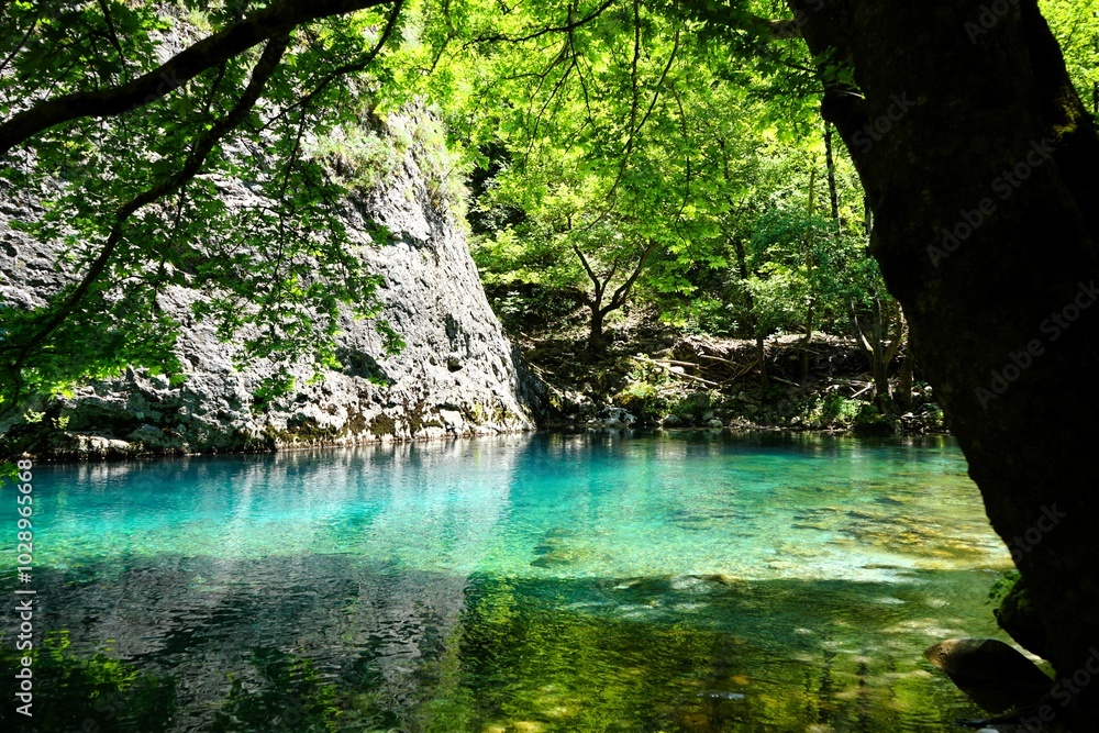 Naklejka premium Shallow part of the river Vikos with crystal clear turquoise water surrounded by green bushes and trees at the bottom of the Vikos Gorge in Greece in the province of Epirus, hiking in Greece