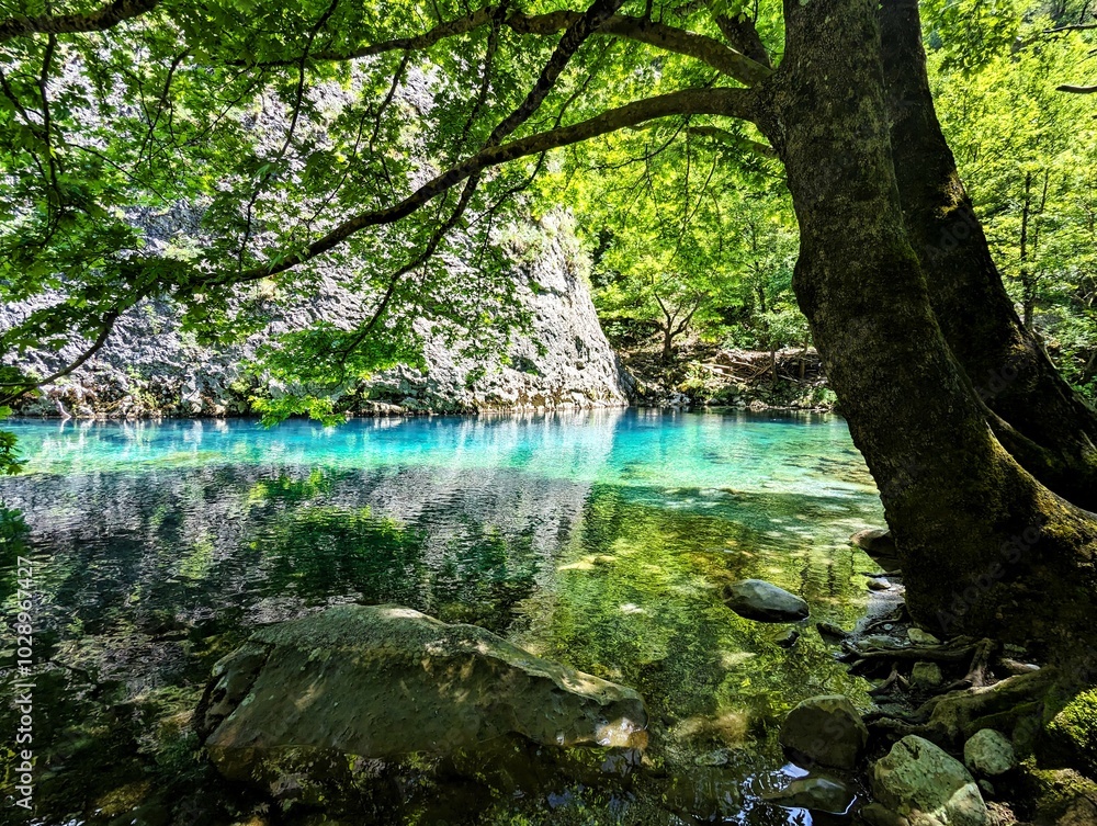 Shallow part of the river Vikos with crystal clear turquoise water surrounded by green bushes and trees at the bottom of the Vikos Gorge in Greece in the province of Epirus, hiking in Greece Shallow part of the river Vikos with crystal clear turquoise water surrounded by green bushes and trees at the bottom of the Vikos Gorge in Greece in the province of Epirus, hiking in Greece