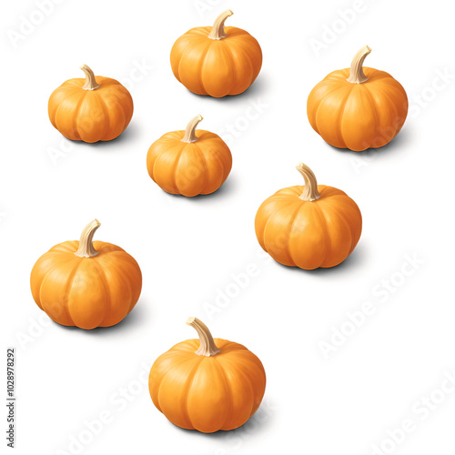 Autumn Harvest A cluster of six miniature pumpkins, bursting with fall color, arranged in a simple yet elegant design.