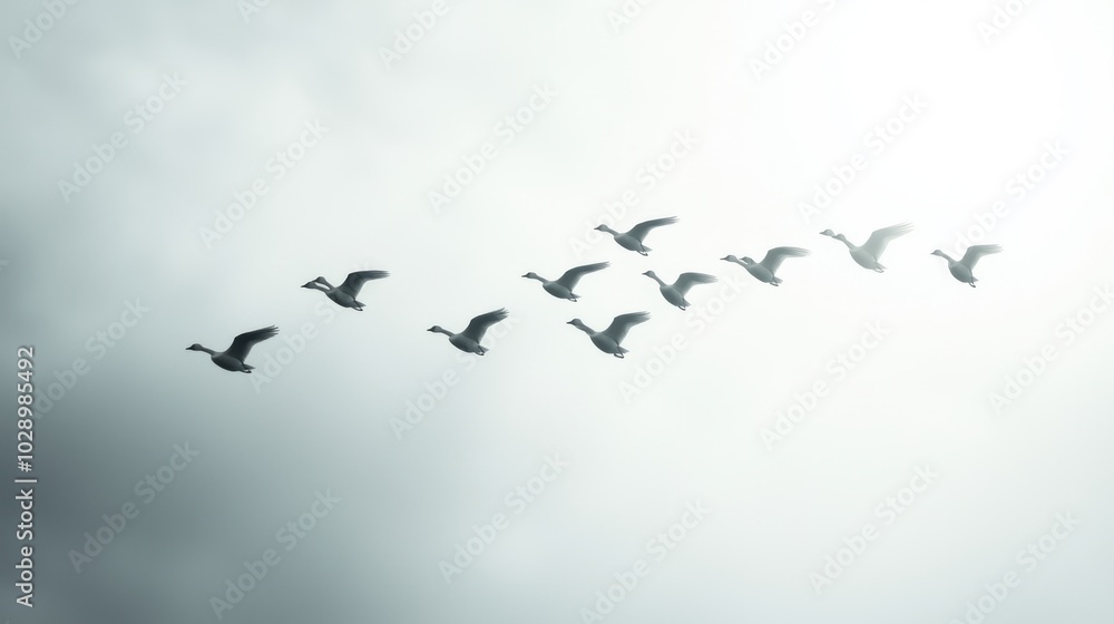 Majestic Winter Geese: Flock Flying in V Formation Silhouetted against Pale Cloudy Sky with Ultra-Detailed, Cinematic Light Majestic Winter Geese: Flock Flying in V Formation Silhouetted against Pale Cloudy Sky with Ultra-Detailed, Cinematic Light