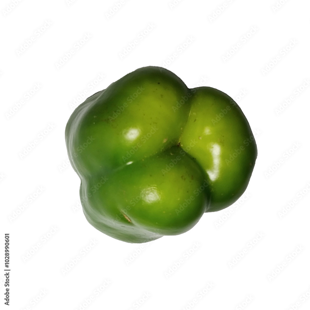 Sweet Green Pepper and paprika, Isolated on a White Background Sweet Green Pepper and paprika, Isolated on a White Background