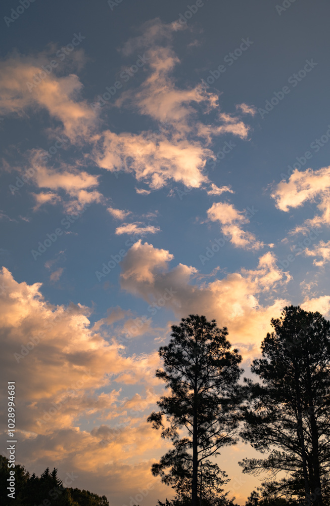 sunset in the sky sunset in the sky