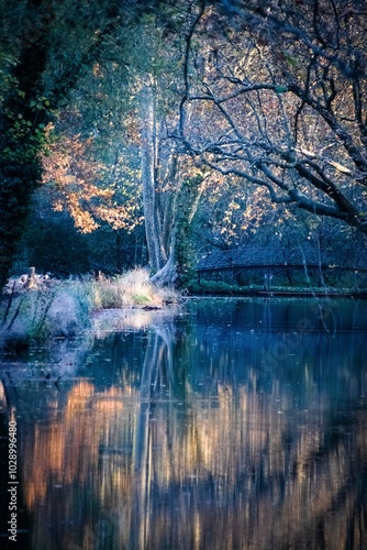 Paysage