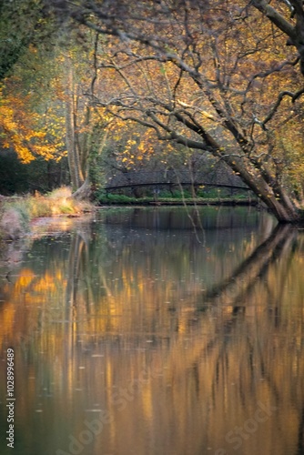 Paysage