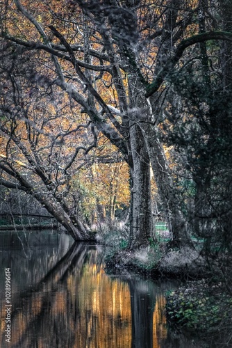 Paysage