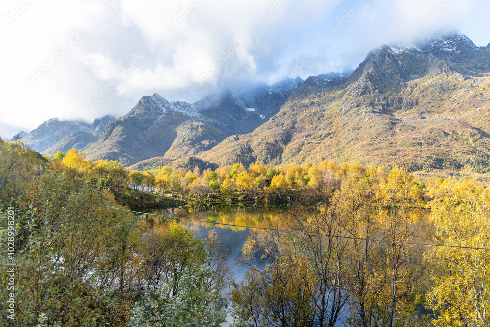 Naklejka premium Beautiful golden birch tree reflections in the mountain lake in Lofoten Islands, Norway in sunny autumn day. Seasonal scenery of Scandinavia.
