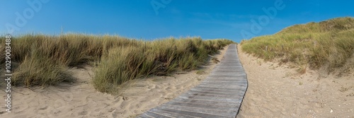 panorama view road in the dunes