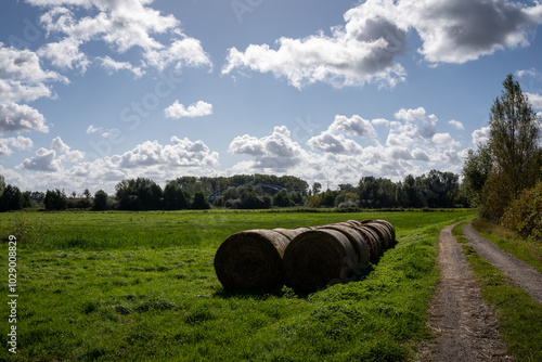 Herbstliche Heidelandschaft