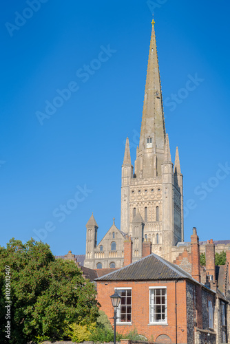 Norwich Cathedral spire towering over nearby houses on a blue sky day