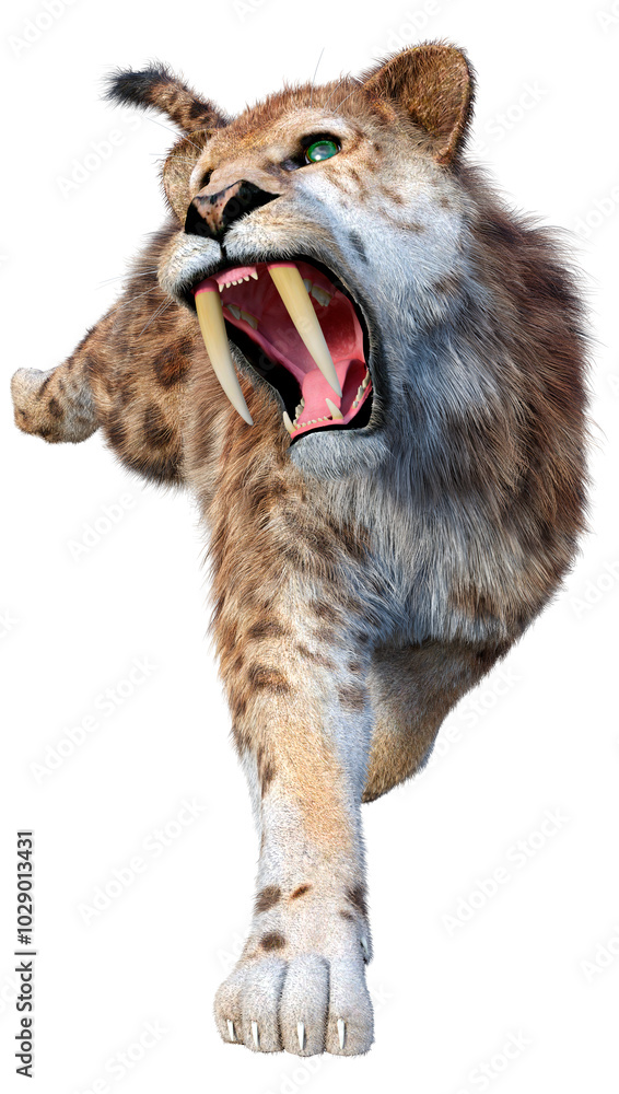 Fototapeta premium 3D Rendering Saber Toothed Tiger on White