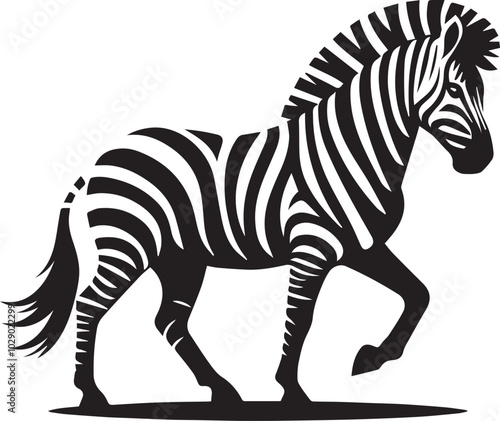 zebra vector illustration