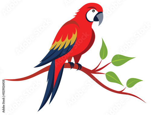 parrot on a branch