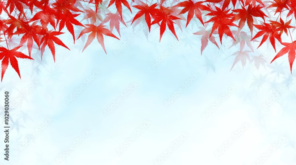 Red Maple Leaves Border on Blue Sky Background Autumn Fall Nature Frame Red Maple Leaves Border on Blue Sky Background Autumn Fall Nature Frame