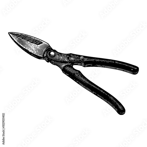 Pruning Scissors Detailed Black and White Outline Line Art Drawing Isolated on White Background