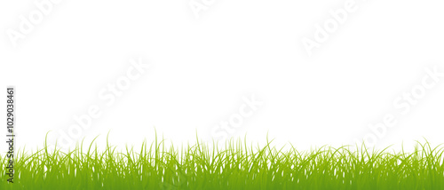 Grass vector illustration on transparent background